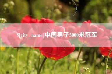 汝州中国男子5000米冠军