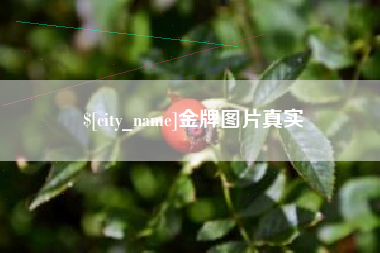 汝州金牌图片真实