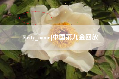 汝州中国第九金回放