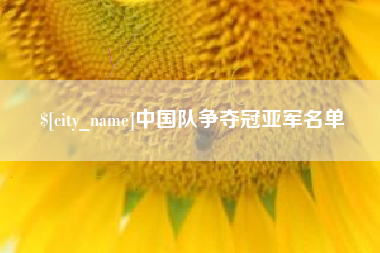 汝州中国队争夺冠亚军名单