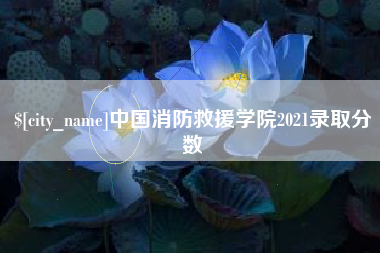 汝州中国消防救援学院2021录取分数