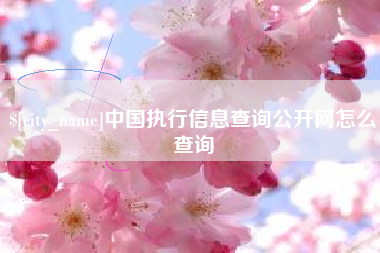 汝州中国执行信息查询公开网怎么查询