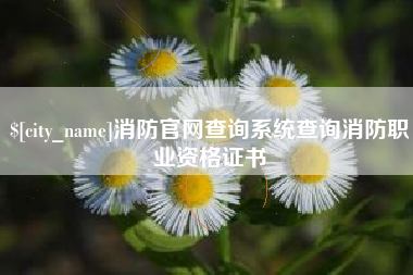 汝州消防官网查询系统查询消防职业资格证书
