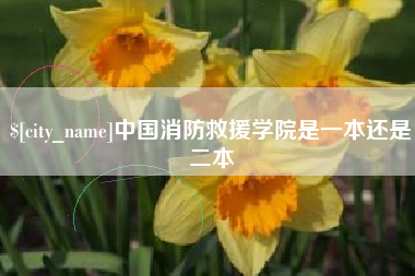 汝州中国消防救援学院是一本还是二本