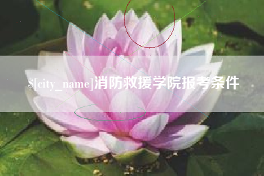 汝州消防救援学院报考条件
