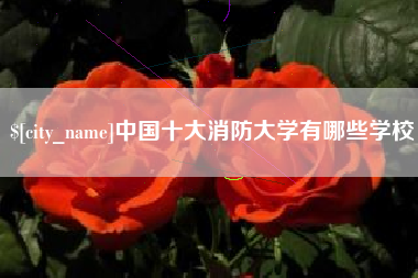 汝州中国十大消防大学有哪些学校
