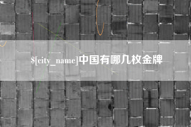 汝州中国有哪几枚金牌