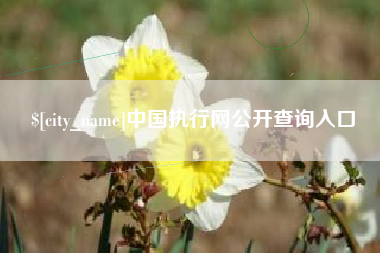 汝州中国执行网公开查询入口