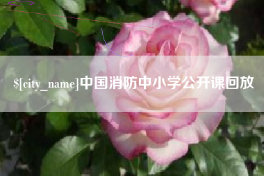 汝州中国消防中小学公开课回放