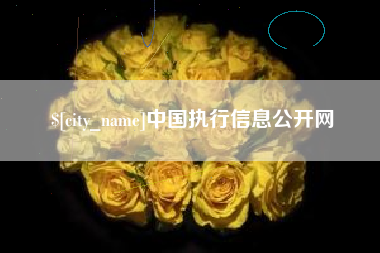 汝州中国执行信息公开网