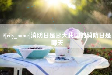 汝州消防日是哪天我国的消防日是哪天