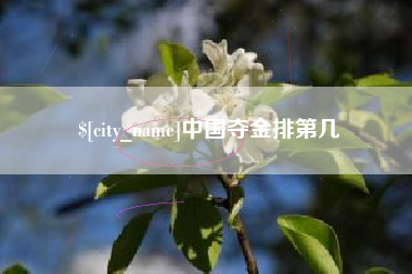 汝州中国夺金排第几