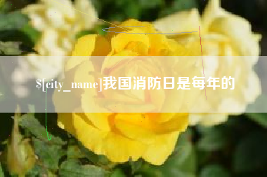 汝州我国消防日是每年的