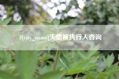 汝州失信被执行人杳询