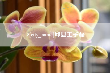 汝州邱县王子磊