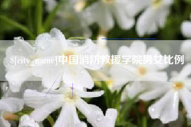 汝州中国消防救援学院男女比例