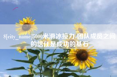 汝州5000米滑冰接力-团队成员之间的信任是成功的基石