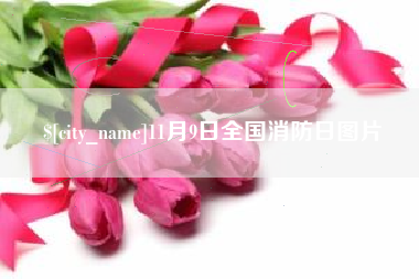 汝州11月9日全国消防日图片