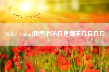 汝州我国消防日是哪天几月几日