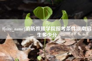汝州消防救援学院报考条件湖南招生多少分