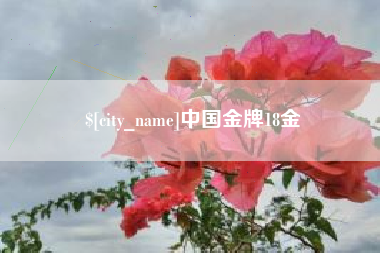 汝州中国金牌18金