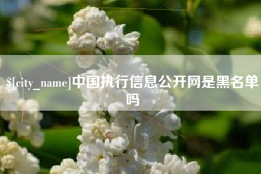 汝州中国执行信息公开网是黑名单吗