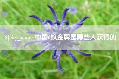 汝州中国6枚金牌是哪些人获得的