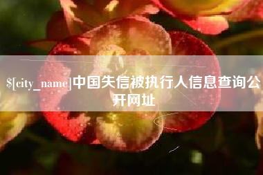 汝州中国失信被执行人信息查询公开网址