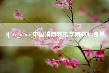 汝州中国消防救援学院教师名单