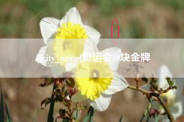 汝州奥运会39块金牌