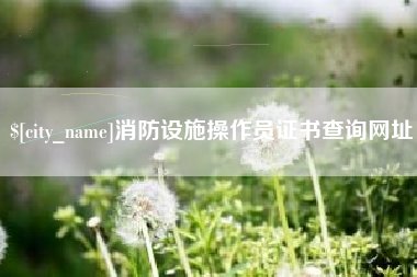 汝州消防设施操作员证书查询网址