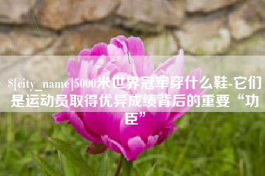 汝州5000米世界冠军穿什么鞋-它们是运动员取得优异成绩背后的重要“功臣”