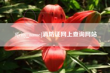 汝州消防证网上查询网站