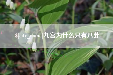 汝州九宫为什么只有八卦