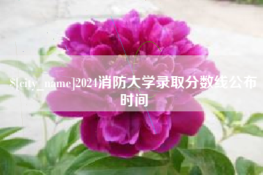 汝州2024消防大学录取分数线公布时间