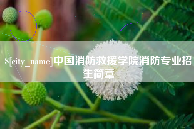 汝州中国消防救援学院消防专业招生简章