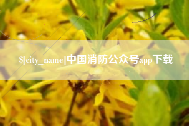 汝州中国消防公众号app下载