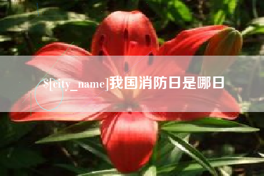 汝州我国消防日是哪日