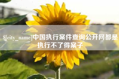 汝州中国执行案件查询公开网都是执行不了得案子