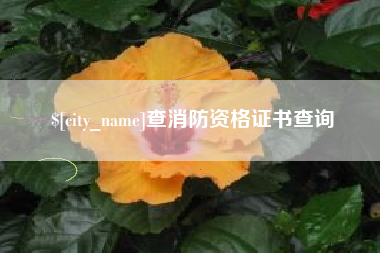 汝州查消防资格证书查询