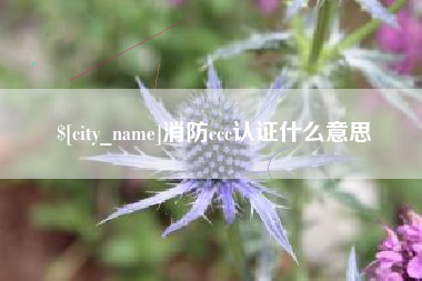 汝州消防ccc认证什么意思