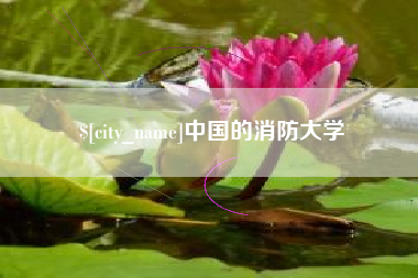 汝州中国的消防大学