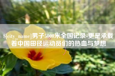 汝州男子5000米全国记录-更是承载着中国田径运动员们的热血与梦想