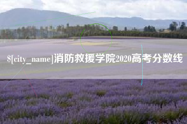 汝州消防救援学院2020高考分数线