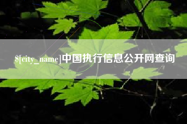 汝州中国执行信息公开网查询