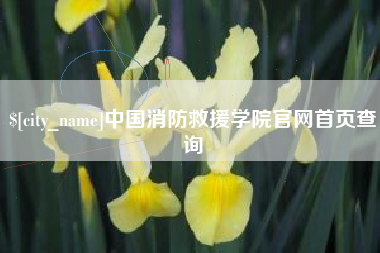 汝州中国消防救援学院官网首页查询