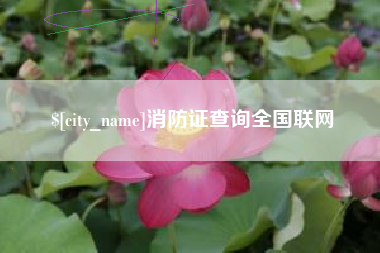 汝州消防证查询全国联网