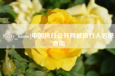 汝州中国执行公开网被执行人名单查询