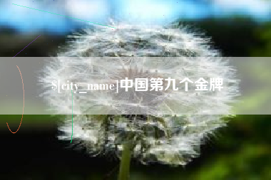 汝州中国第九个金牌
