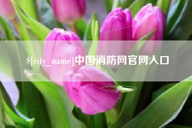 汝州中国消防网官网入口